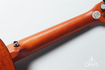 Exotic Mahogany Concert Ukulele w/EQ